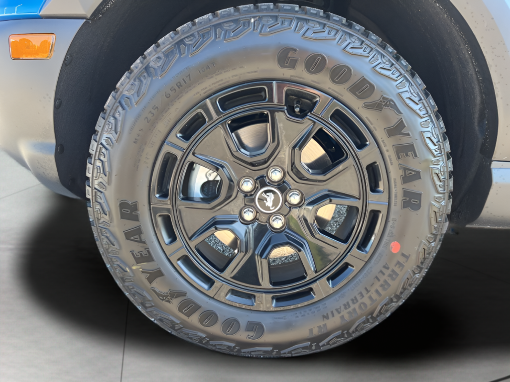 2025 Ford Bronco Sport Badlands - Photo 9