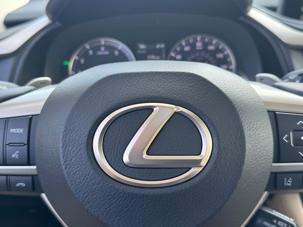 2021 Lexus RX 350 29