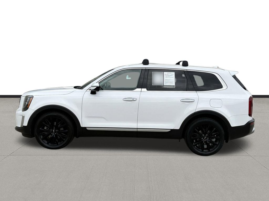2021 Kia Telluride SX White at Joe Myers Mazda Kia