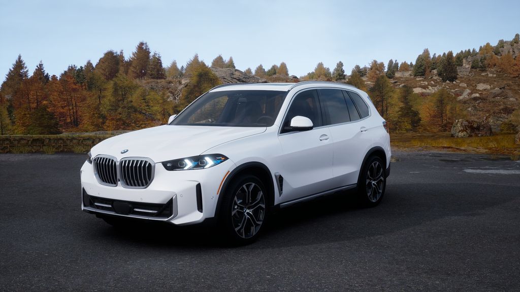 2025 BMW X5 sDrive40i 31