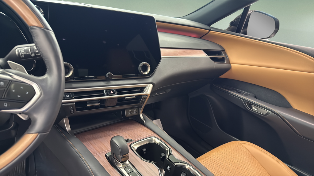 2024 Lexus RX