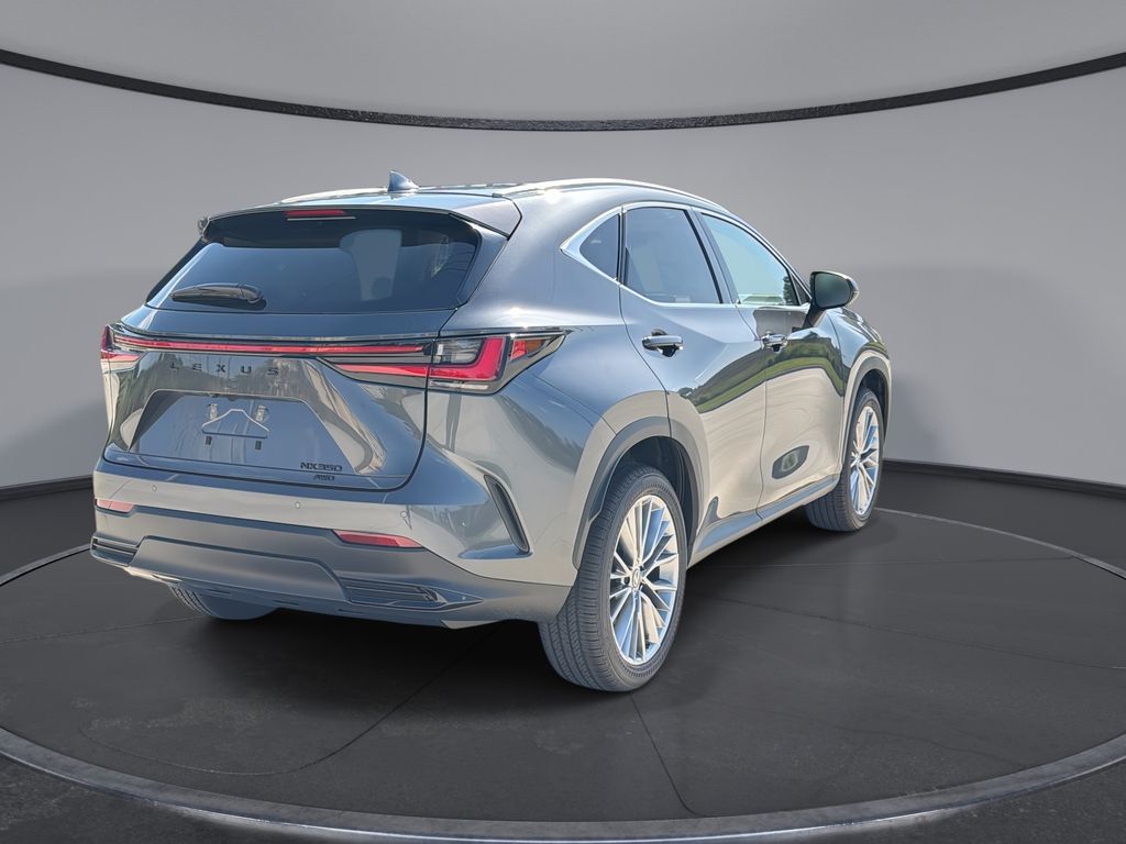 Thumbnail: 2026 Lexus NX - 11