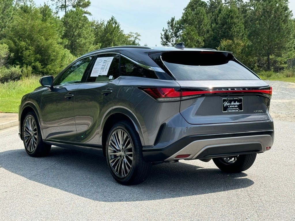 2023 Lexus RX 350 Luxury 11