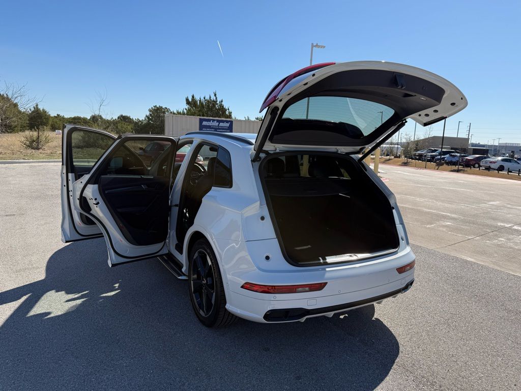 Thumbnail: 2019 Audi SQ5 - 26