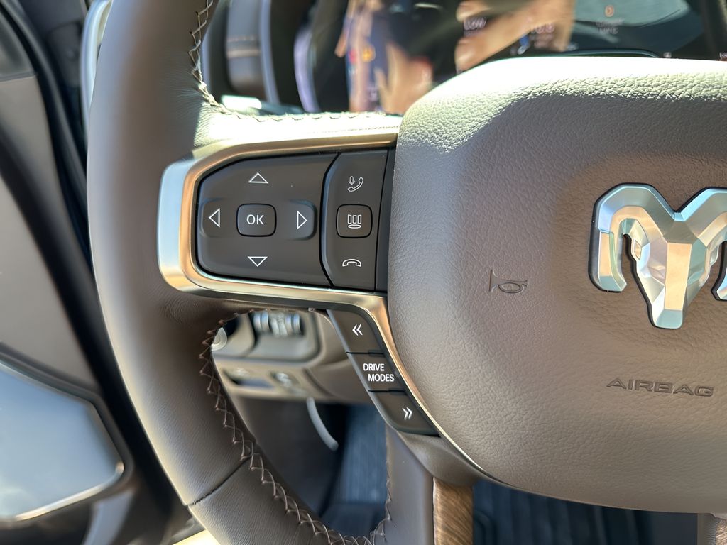 New 2026 Black Ram Limited image 29