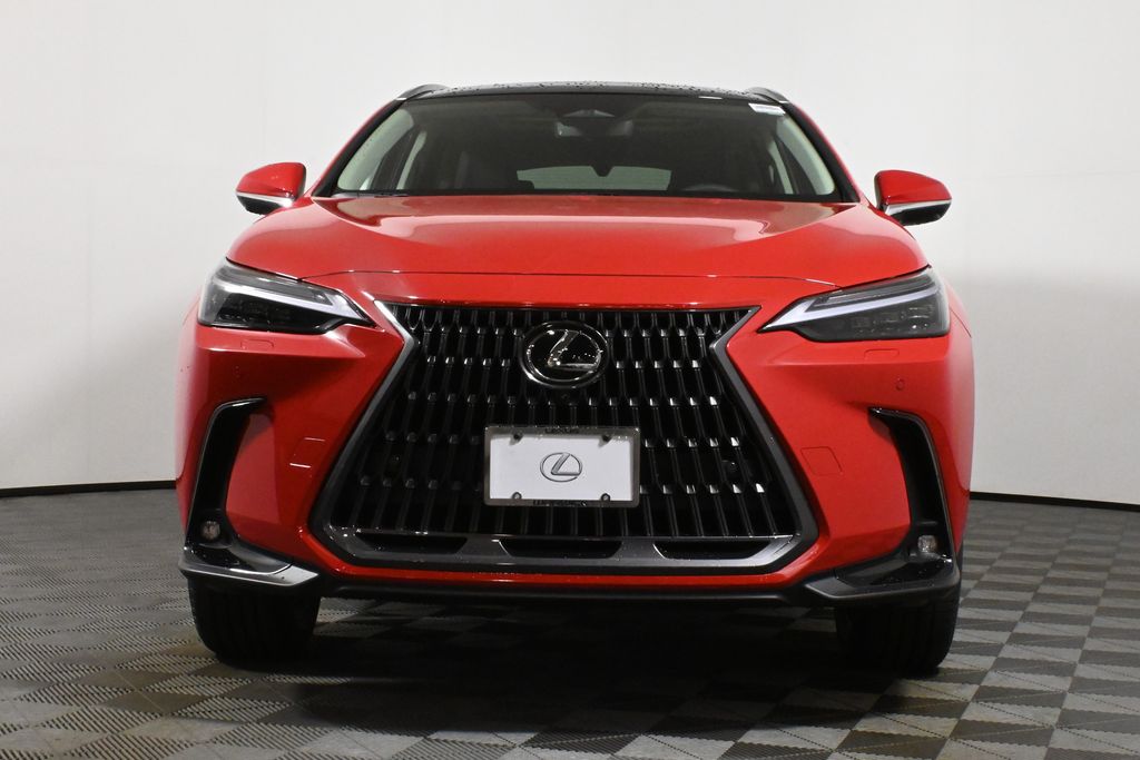 2025 Lexus NX 350 Luxury 10