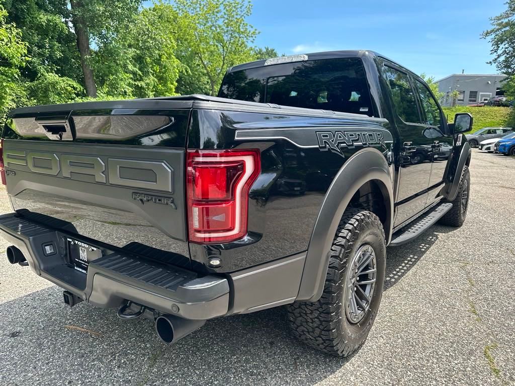 2019 Ford F-150 Raptor 5