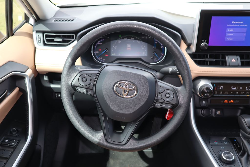 2025 Toyota RAV4 LE 10