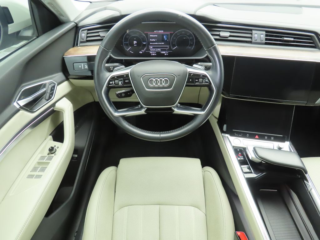 2019 Audi e-tron Prestige 12