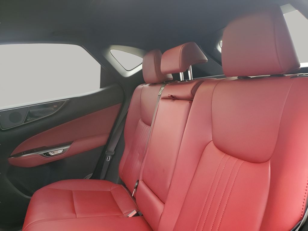 Used Car 2024 Lexus Nx  350 Base For Sale Under $50,000 In Austin, Texas