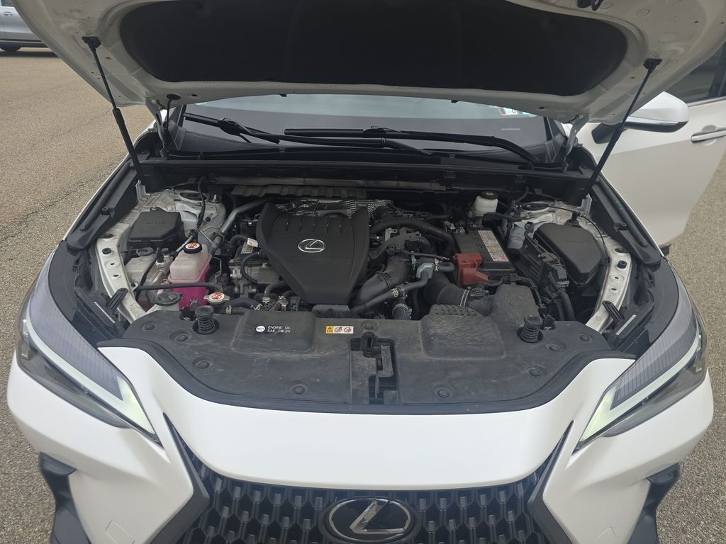2024 Lexus NX 350 Base White at Klick Lewis Buick Chevrolet