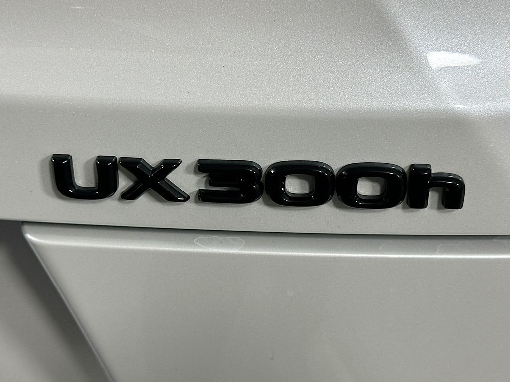 2025 Lexus UX 300h 21