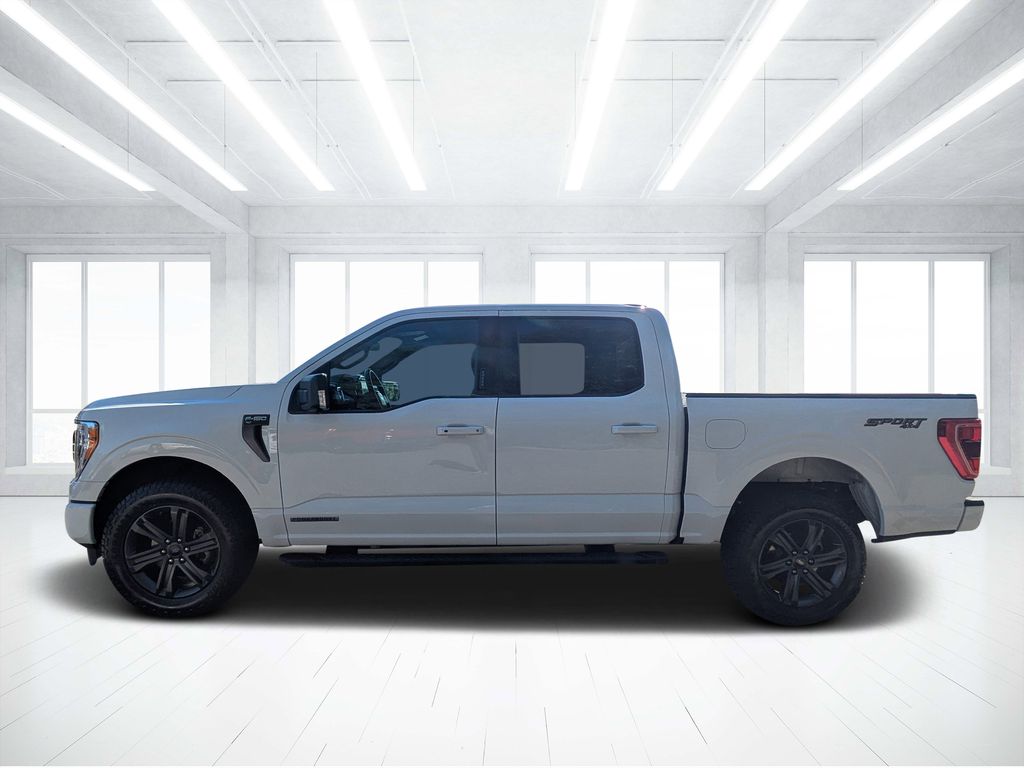 Used 2023 White Ford XLT image 6