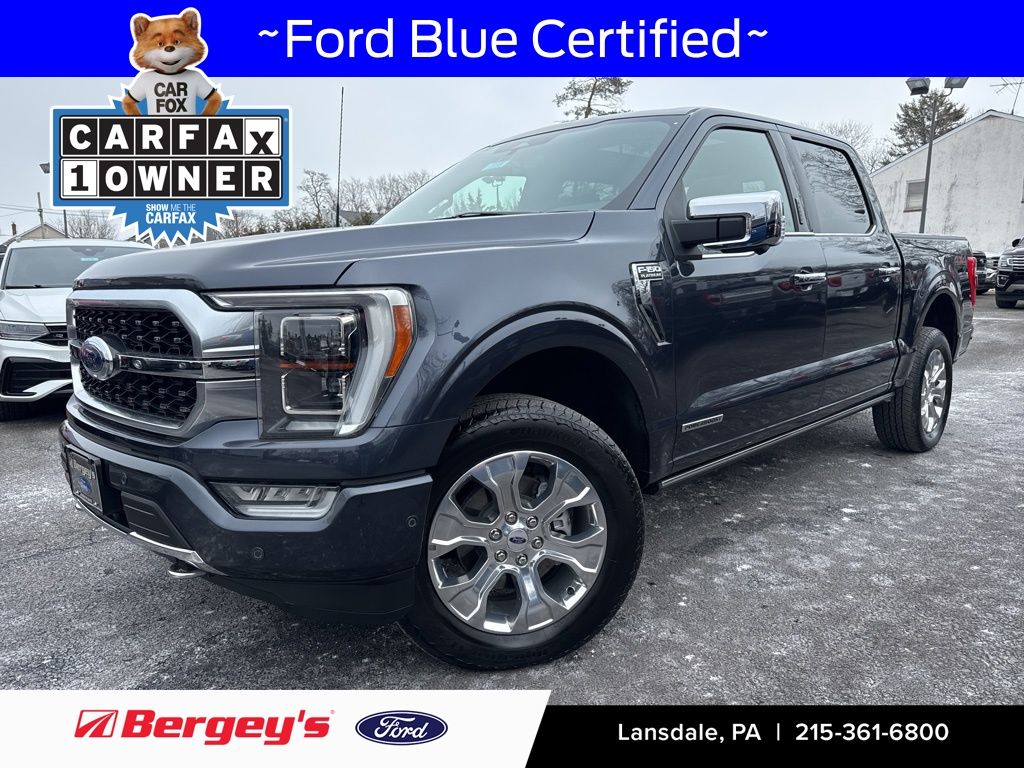 2022 Ford F-150 Platinum SuperCrew 4WD