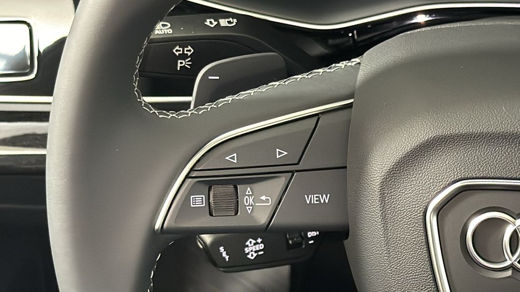 Thumbnail: 2025 Audi Q8 - 16