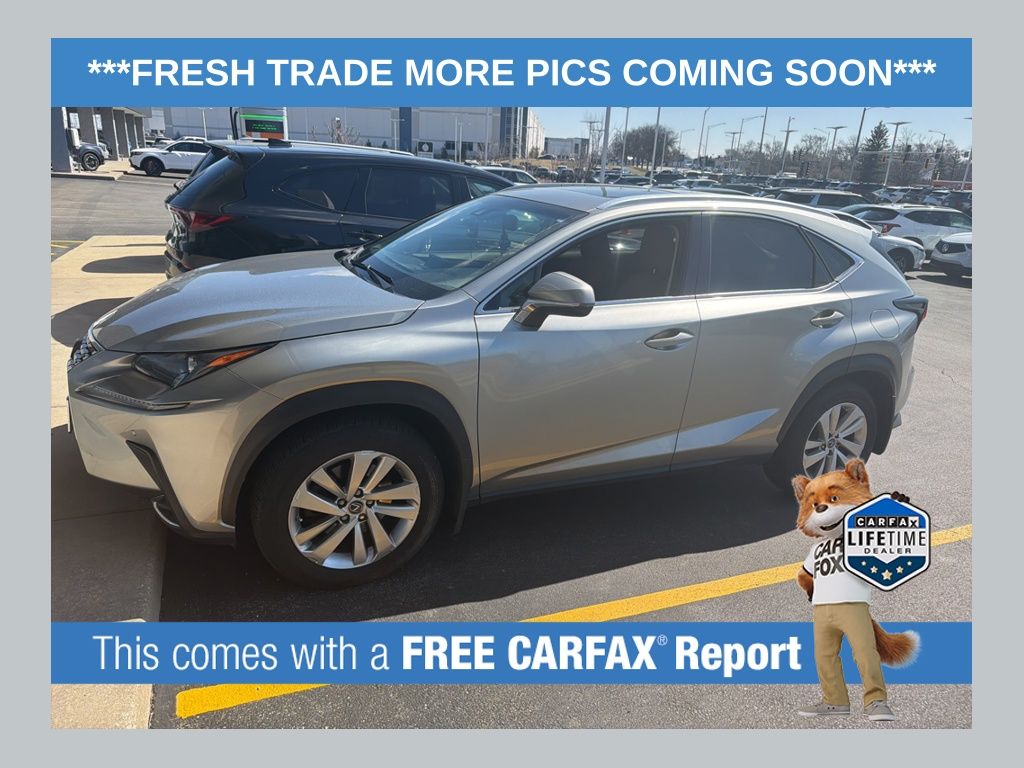 2019 Lexus NX 300 AWD