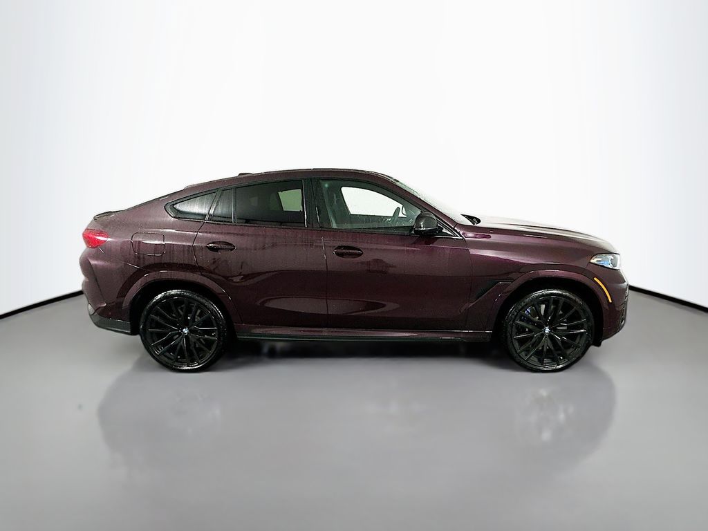 2025 BMW X6  4