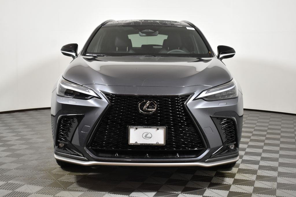 2024 Lexus NX  10