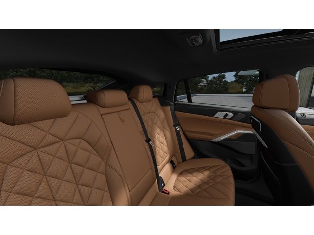 Thumbnail: 2026 BMW X6 - 12