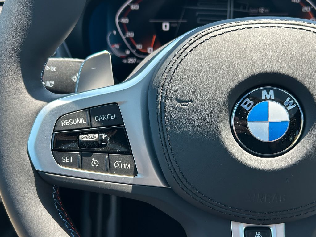 Thumbnail: 2025 BMW X4 - 19