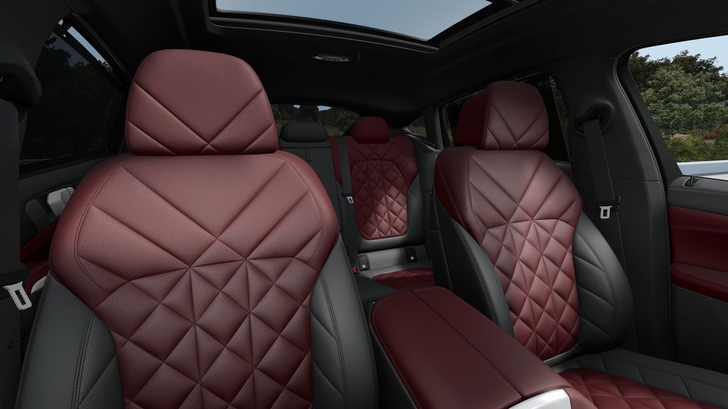 Thumbnail: 2027 BMW X6 - 11