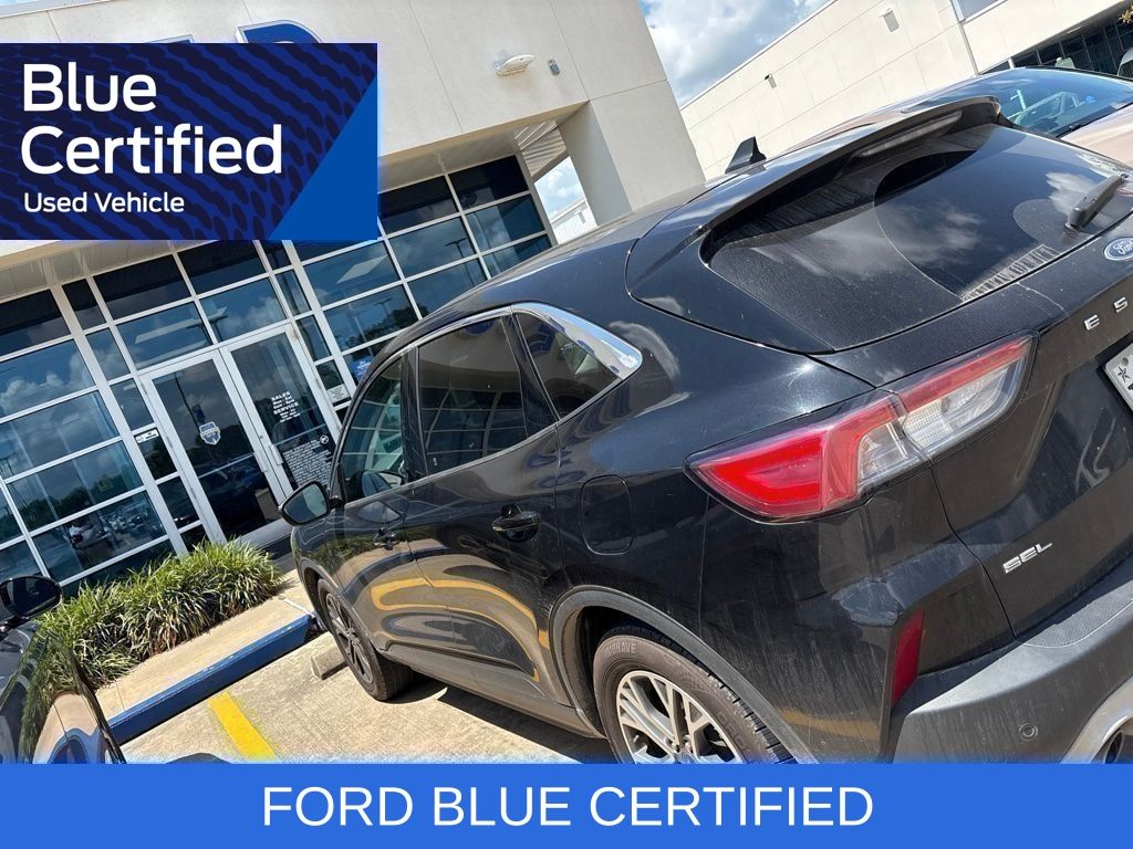 2022 Ford Escape SEL Black at Wharton Ford