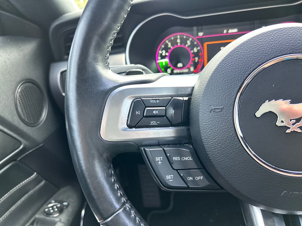 Used 2019 White Ford EcoBoost Premium image 18