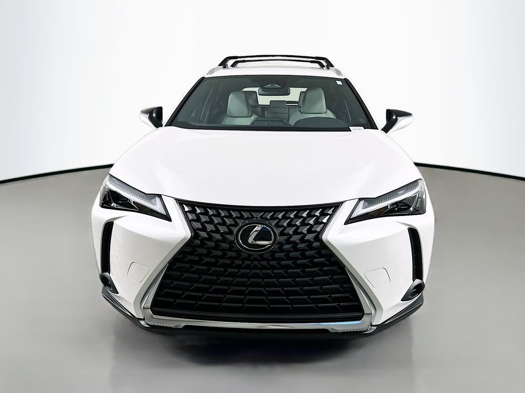 2025 Lexus UX 300h 2