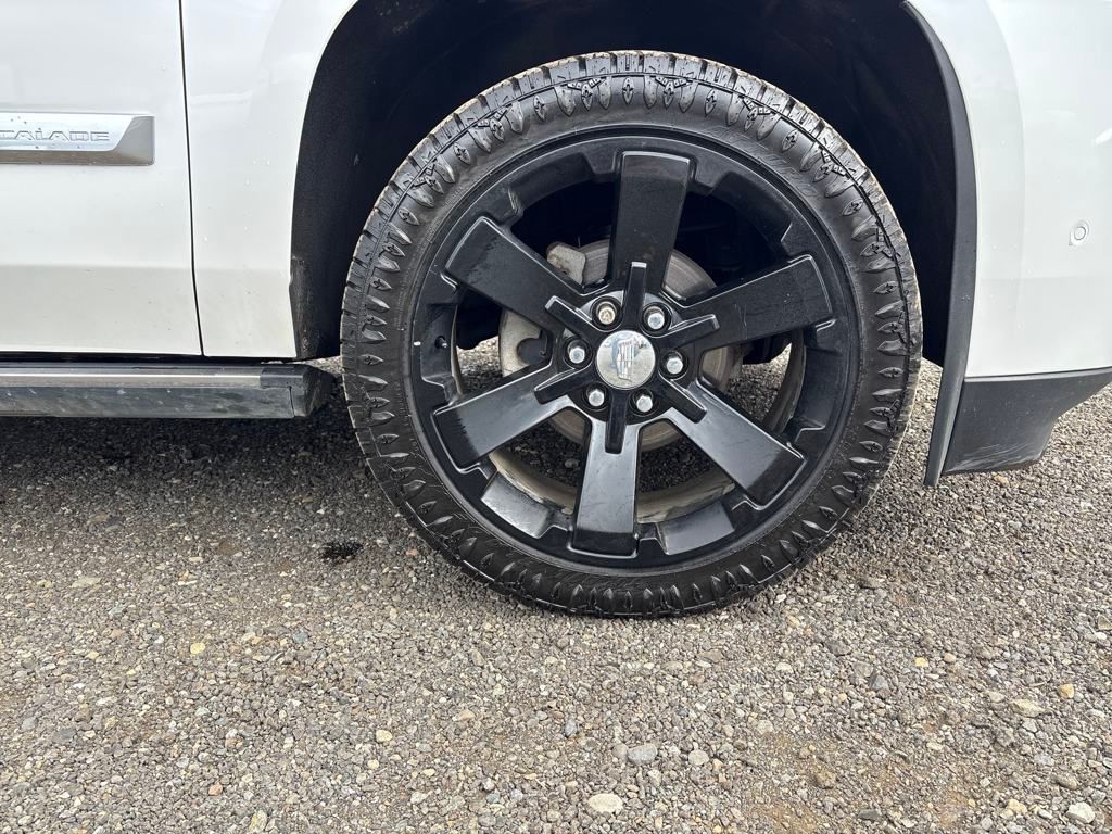 2019 Crystal White Tricoat Cadillac Escalade Platinum Edition 4X4 SUV