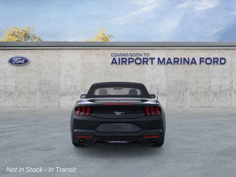 2025 Ford Mustang EcoBoost photo