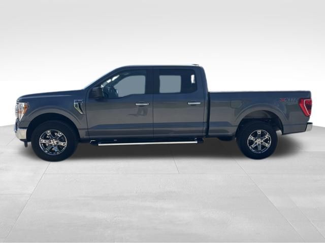 Used 2023 Ford F-150 Truck