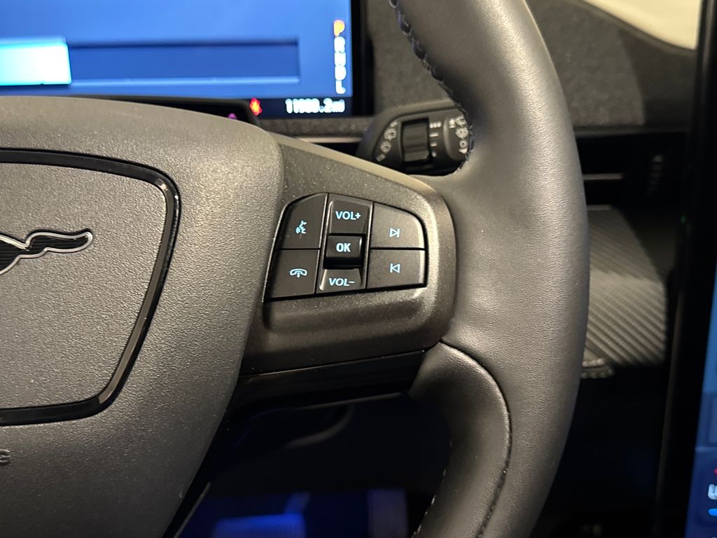 2023 Shadow Black Ford Mustang Mach-E Premium RWD SUV