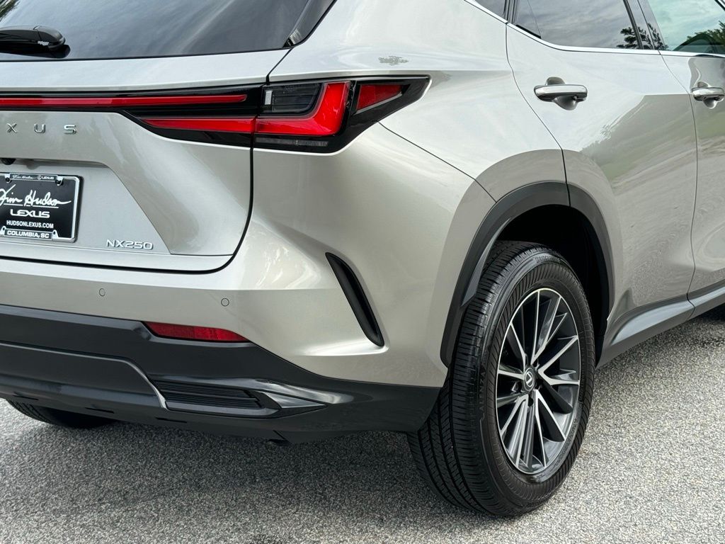 2024 Lexus NX 250 Premium 15