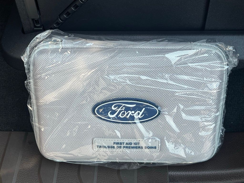 2025 Ford F-250SD King Ranch Brown at Walterboro Ford