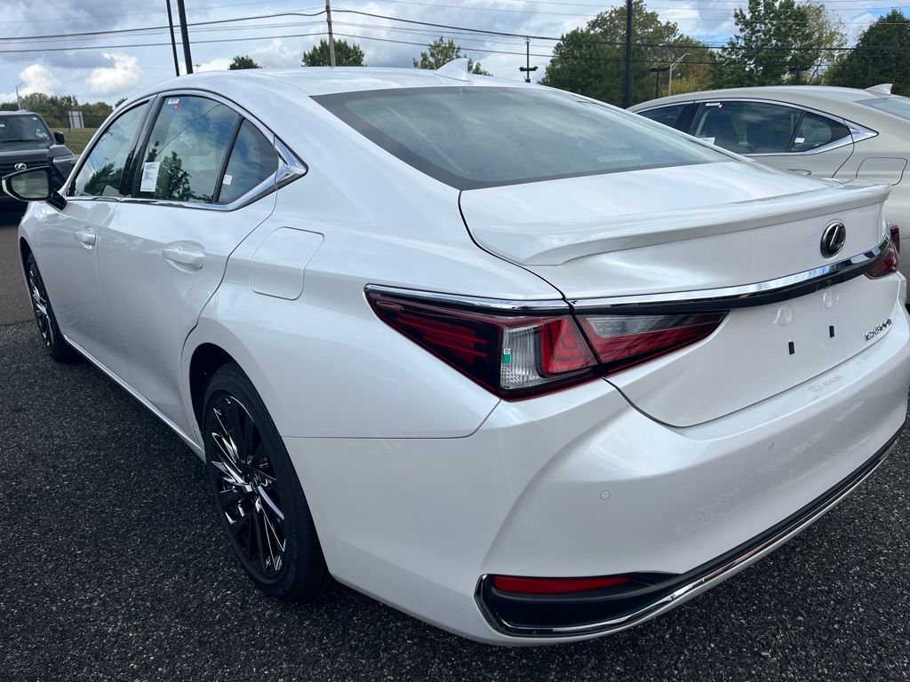 2025 Lexus ES 300h Luxury photo 2