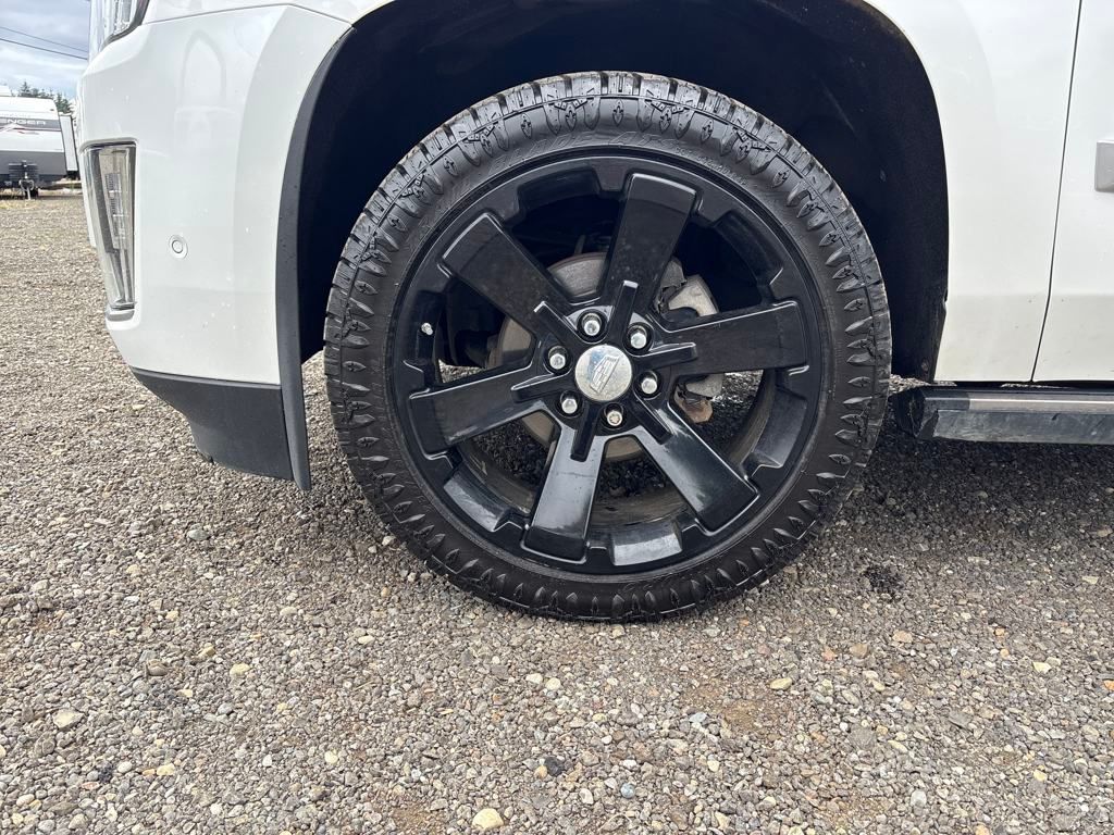 2019 Crystal White Tricoat Cadillac Escalade Platinum Edition 4X4 SUV