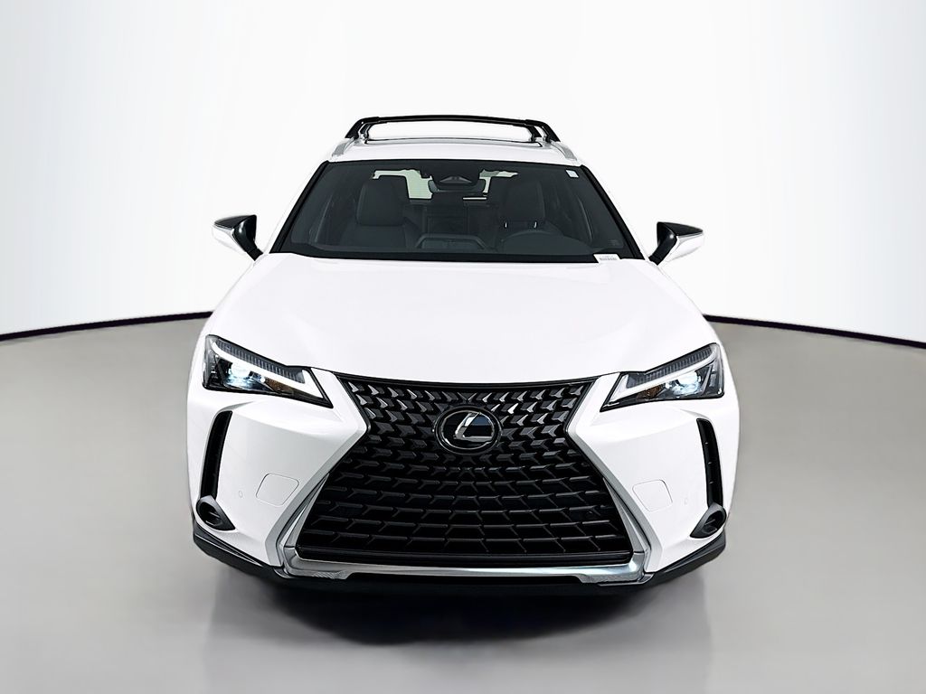 2025 Lexus UX 300h 2