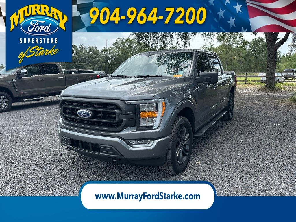 Gray Metallic 2023 Ford F-150 Pickup Truck Four-Wheel Drive Automatic