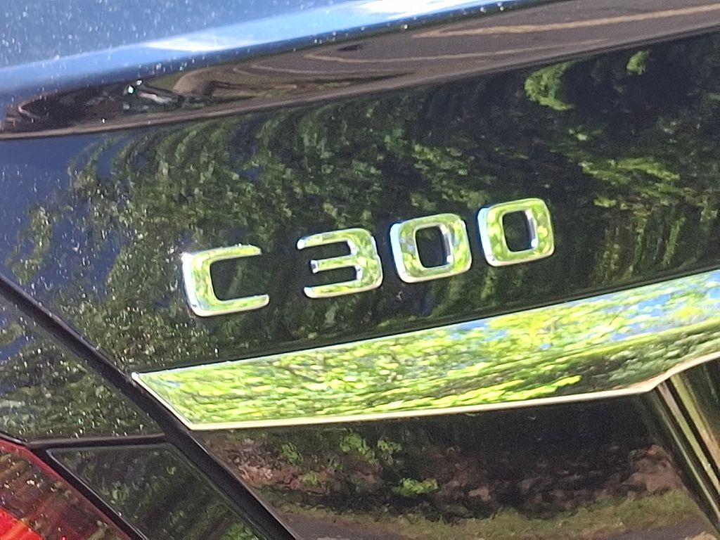 2019 Mercedes-Benz C-Class C 300 28