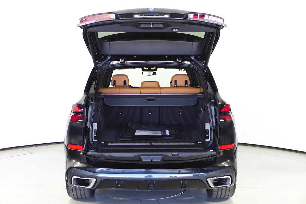 Thumbnail: 2024 BMW X5 - 10