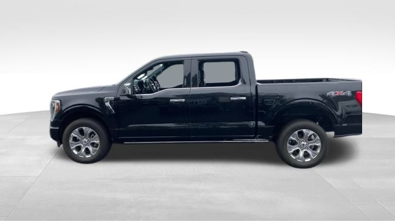 2021 Ford F-150 Platinum 9