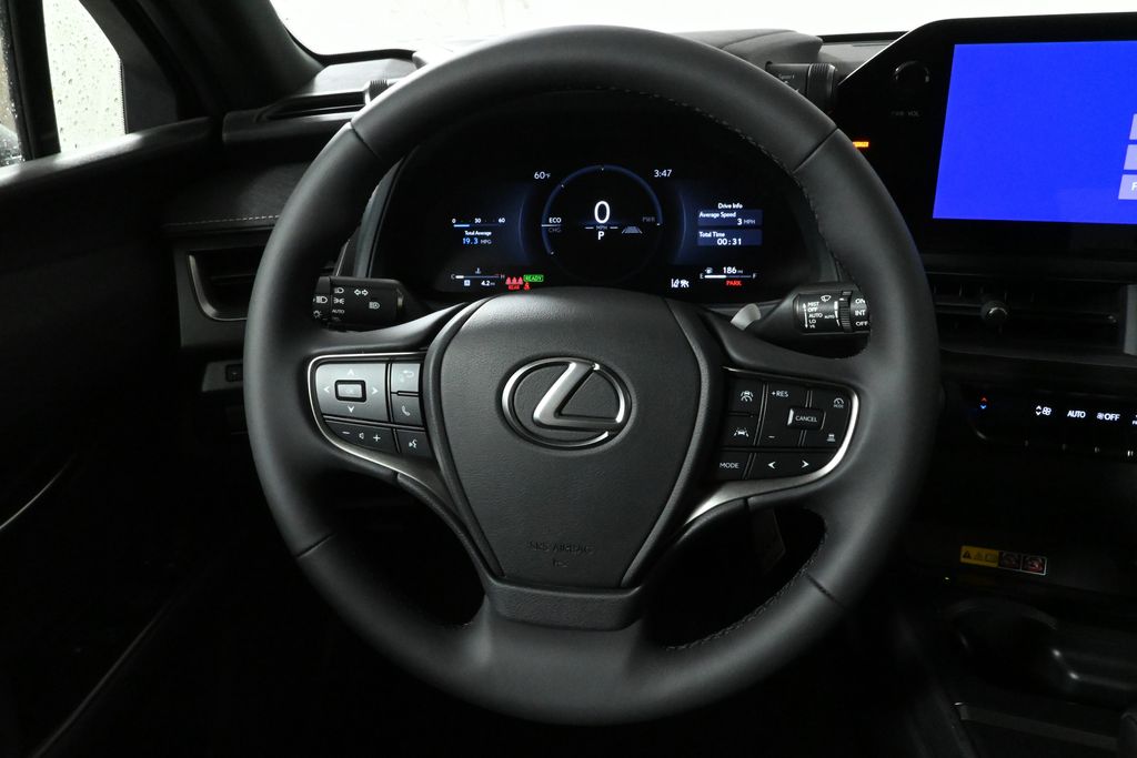 2025 Lexus UX 300h 19