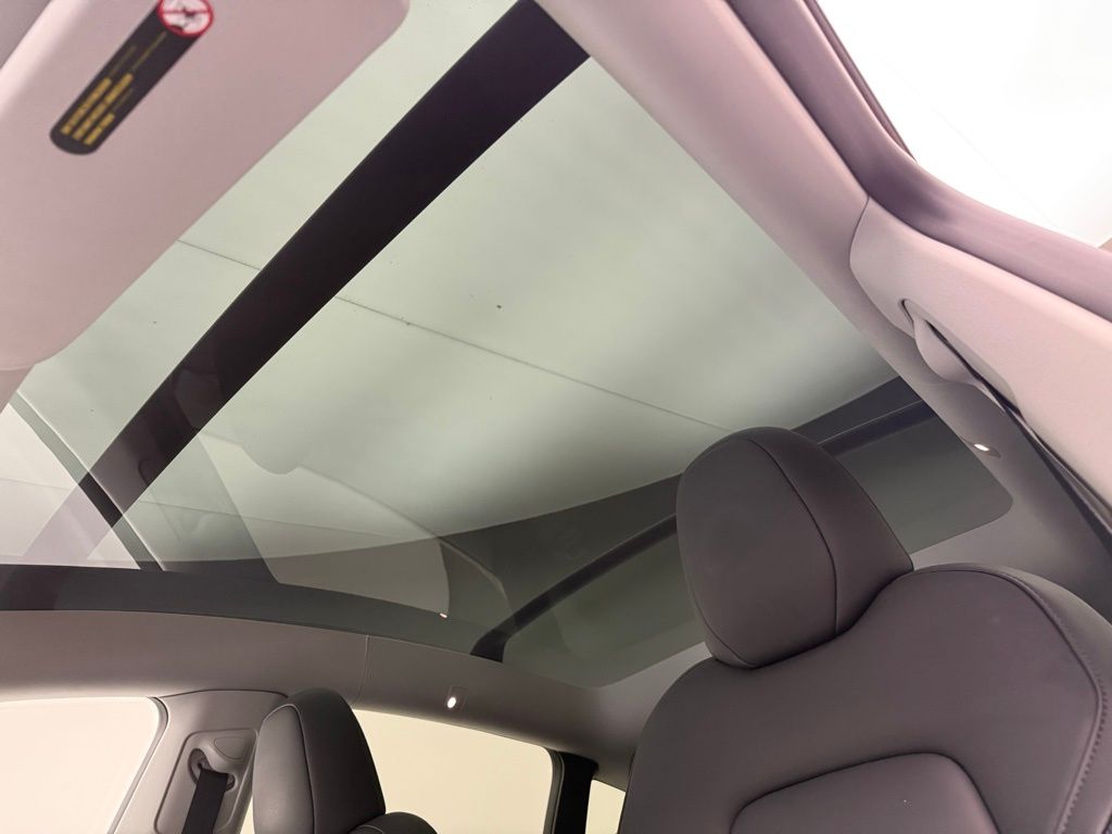 Thumbnail: 2025 Tesla Model Y - 19