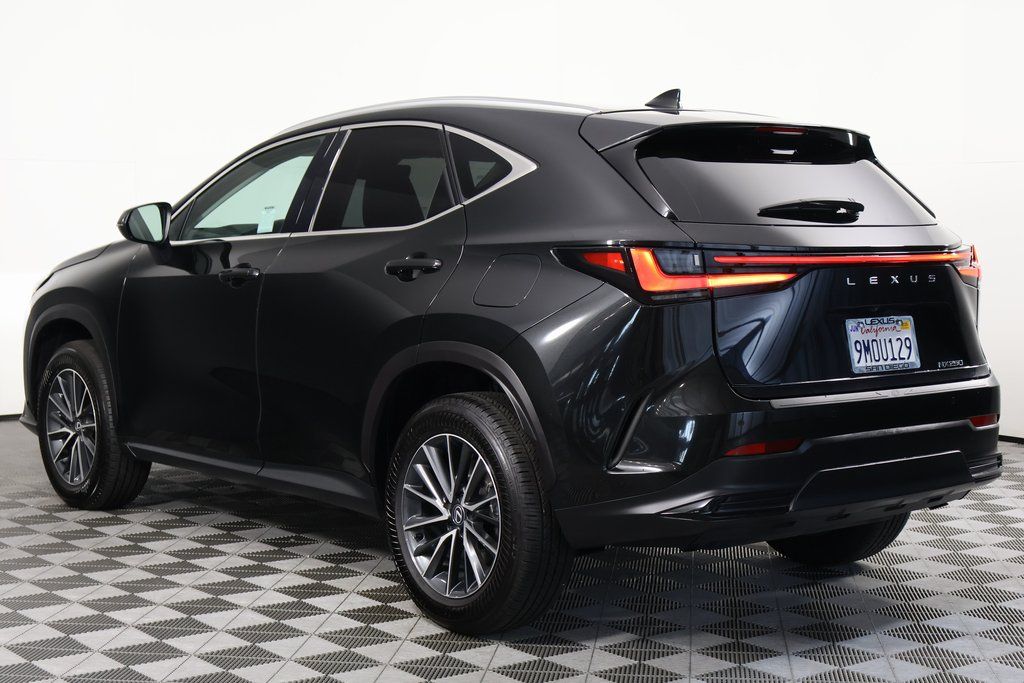 2025 Lexus NX 250 6