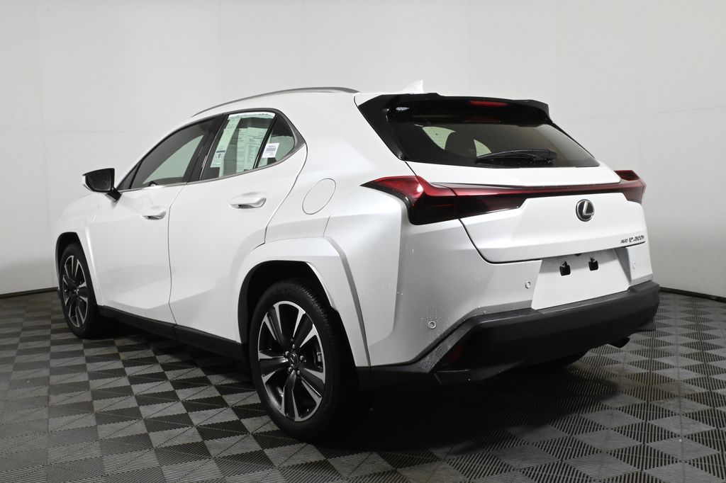 2025 Lexus UX 300h 5