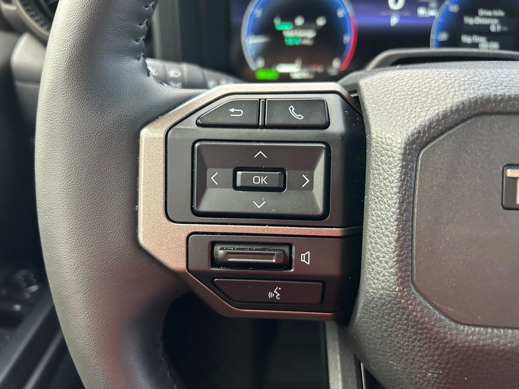 Thumbnail: 2025 Toyota Land Cruiser - 19