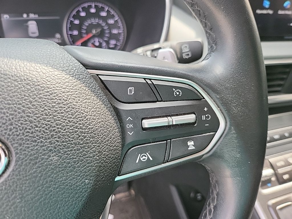 2023 Hyundai Santa Fe SEL 19