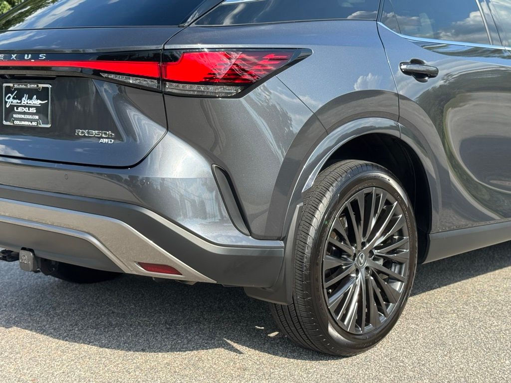 2024 Lexus RX 350 Luxury photo 13