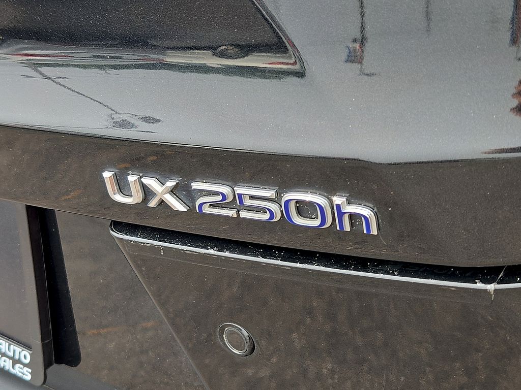 2020 Lexus UX