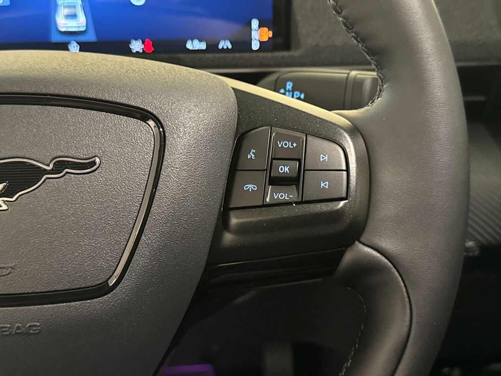 New 2026 Gray Ford Premium image 39